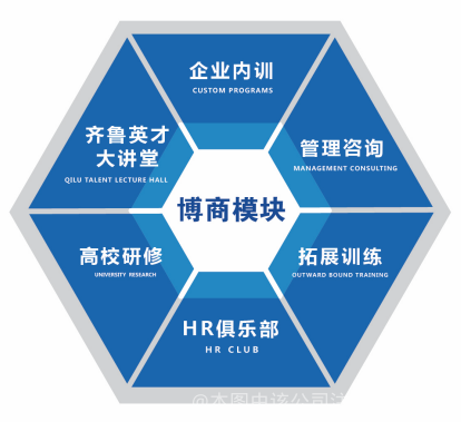 鸿圣管理咨询 解锁企业增长与组织效能的管理智慧