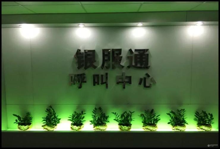 深圳市银服通企业管理咨询